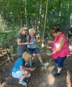 Messungen im Wald